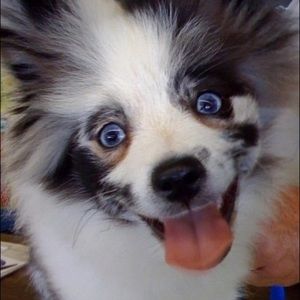 Meet your Posher, Vikki